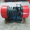 江蘇常州振動(dòng)電機(jī)廠家,振動(dòng)篩振動(dòng)電機(jī)