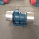 宏達(dá)防爆振動電機(jī),天津河北振動電機(jī)參數(shù)