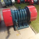 安徽蕪湖振動電機(jī)型號,脫水篩振動電機(jī)