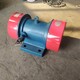 脫水篩振動(dòng)電機(jī)圖