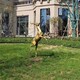 鹿雕塑廠家圖