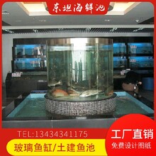 橋南定制玻璃魚缸番禺水產海鮮池圖片