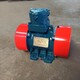粉塵防爆振動電機圖