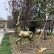 曲阳铸铜鹿雕塑图