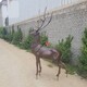 鹿雕塑小动物雕塑制作图