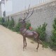 鹿雕塑小動物雕塑廠家圖