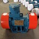 氣體防爆振動電機圖
