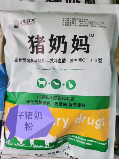 河南猪奶妈哪里能买到