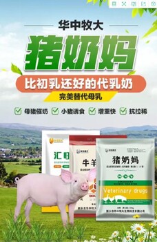 江西豬奶媽是好的嗎