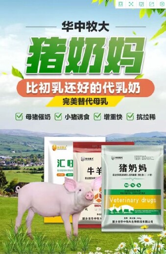 寧夏豬奶媽用法用量