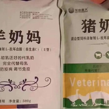 华中牧大猪奶粉,小猪吃羊奶粉好吗猪奶妈