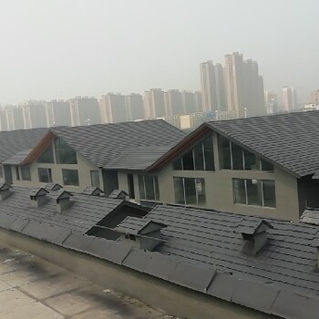 上海高分子平板瓦批發(fā)