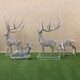 不锈钢镂空鹿雕塑图