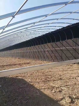 荊門大棚橢圓管廠家，荊門定制春秋育苗棚