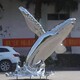 海南鲸鱼雕塑制作图