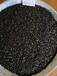 黑河净水活性炭出售,溶剂回收处理活性炭