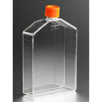 常州康宁细胞培养瓶T225,康宁培养瓶