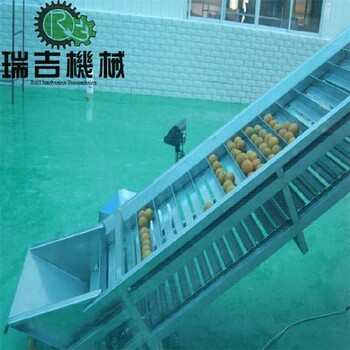國產瑞吉機械爬坡輸送機出售