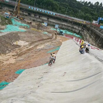 水泥毯选择建议英山县,混泥土毯