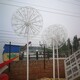 帶燈光的蒲公英雕塑圖
