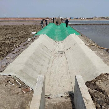 莘县浇水固化混凝土水泥毯、河道护坡排水沟护渠水泥毯厂家,混泥土帆布毯