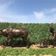 内蒙古农耕人物雕塑图
