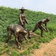 農(nóng)耕文化雕塑圖