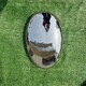 鵝蛋雕塑圖