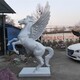 駿馬雕塑圖
