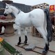 玻璃鋼馬雕塑電話圖