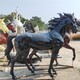 玻璃鋼馬雕塑定制公司圖
