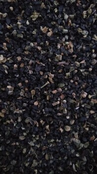 乌海沙葱种子多少钱一斤