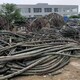 惠州电线电缆回收图