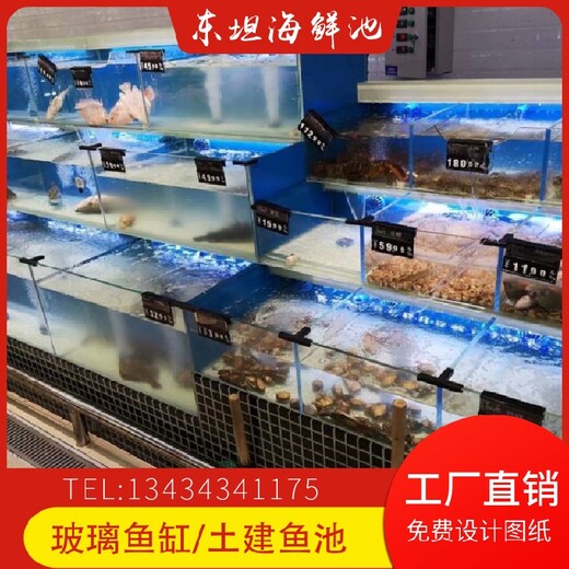 白云鶴龍海鮮魚池白云二組制冷海鮮池