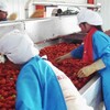 利臻機械番茄醬生產線設備,防城港西紅柿醬生產設備