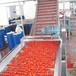 利臻机械番茄酱加工设备,邢台番茄酱生产线