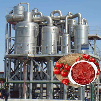 齐齐哈尔西红柿酱生产设备,番茄酱加工设备