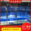 白云钟落潭海鲜鱼池广州海鲜玻璃鱼缸循环图片