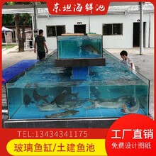 白云三元里海鮮魚池白云圓形海鮮魚池圖片