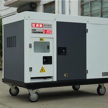 GT-30TSI高原30KW永磁柴油发电机