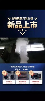 四川生物質鍋爐工業(yè)蒸汽按需定制