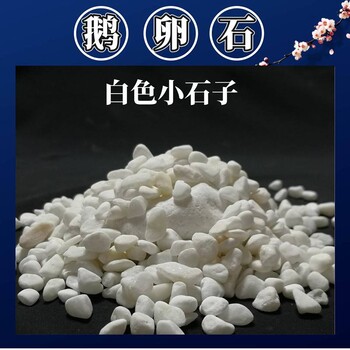 變電站儲(chǔ)油池墊層用鵝卵石鋪路裝飾玩耍用小石子足底按摩雨花石
