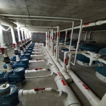 河南浪騰泳池循環水設備,私家別墅泳池循環水處理設備參數