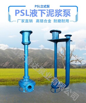 鲁达牌PSL式液下泵立式泵定制小型清淤清理泵