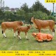 玻璃鋼牛雕塑生產(chǎn)廠家圖