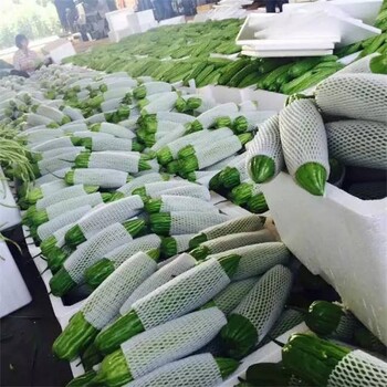 蔬菜配送廈門市,廈門生鮮配送app哪個實惠