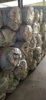 20mm橡塑保溫板,吸音減震保溫板報(bào)價