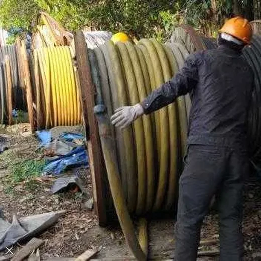 温州二手电缆线回收本月回收