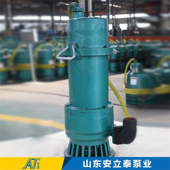 咸陽防爆潛水泵生產(chǎn)廠家
