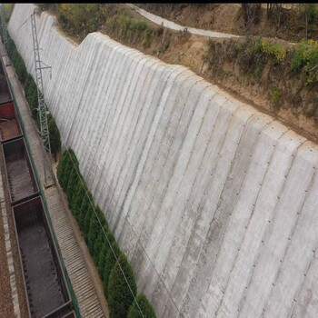 臨漳縣水泥毯-混凝土帆布-水泥毯,帆布水泥毯